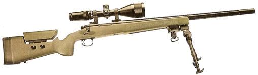 ASI 700 Tactical on Remington Action